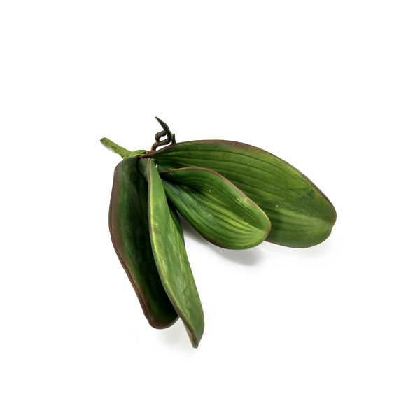 Folha de Orquídea Phalaenopsis Artificial 4F (30cm) - Imagem 2
