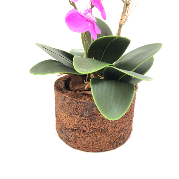 Orquídea Borboleta Pink Flor Artificial em Silicone (57cm) - Imagem 6