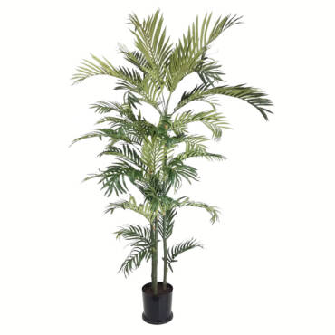 Palmeira Areca Real Artificial (1,80m)