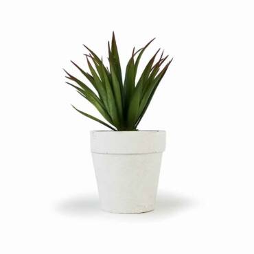 Vaso Agave Artificial (18cm)