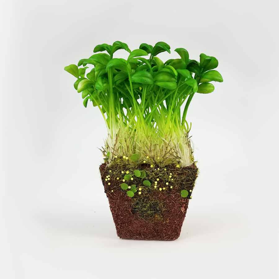 Vaso Broto de Semente Artificial (18cm)