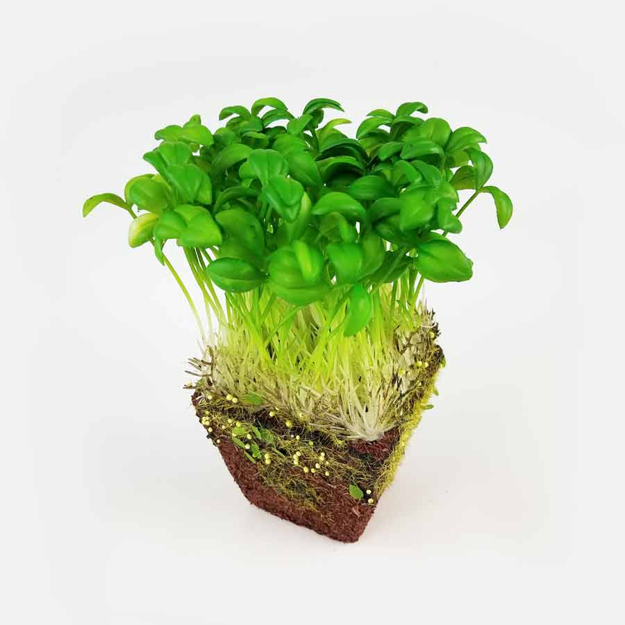 Vaso Broto de Semente Artificial (18cm) - Imagem 2