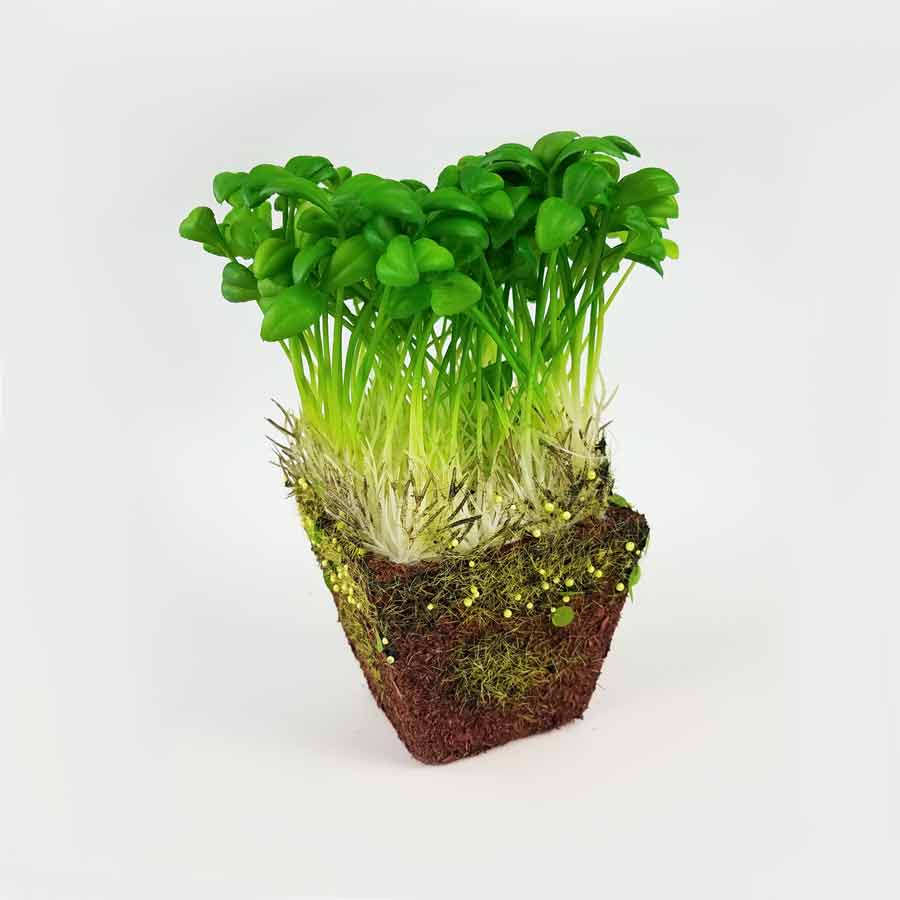 Vaso Broto de Semente Artificial (18cm) - Imagem 3