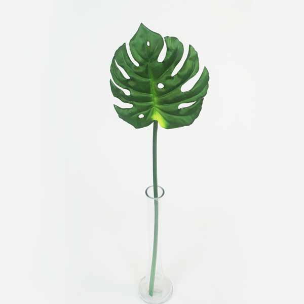 Costela de Adão Galho Artificial ( 77cm) - Imagem 2