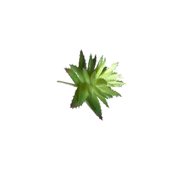 Echeveria Cacto Artificial Decorativo (10cm) - Imagem 3