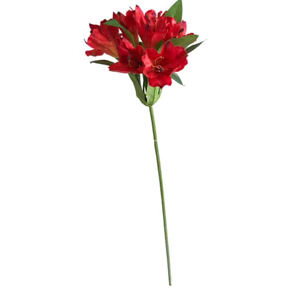 Astromélia Galho Flor Artificial (47cm) - Imagem 19