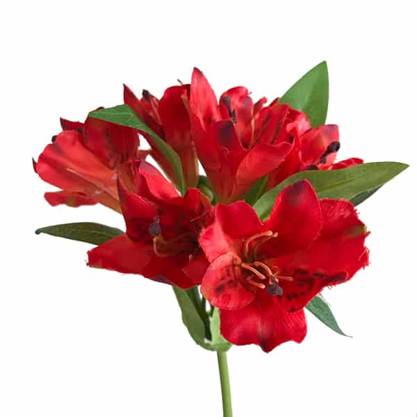 Astromélia Galho Flor Artificial (47cm) - Imagem 21