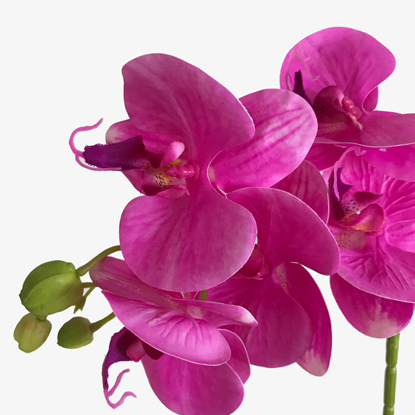 Orquídea Borboleta Galho Flor Artificial (70cm) - Imagem 15