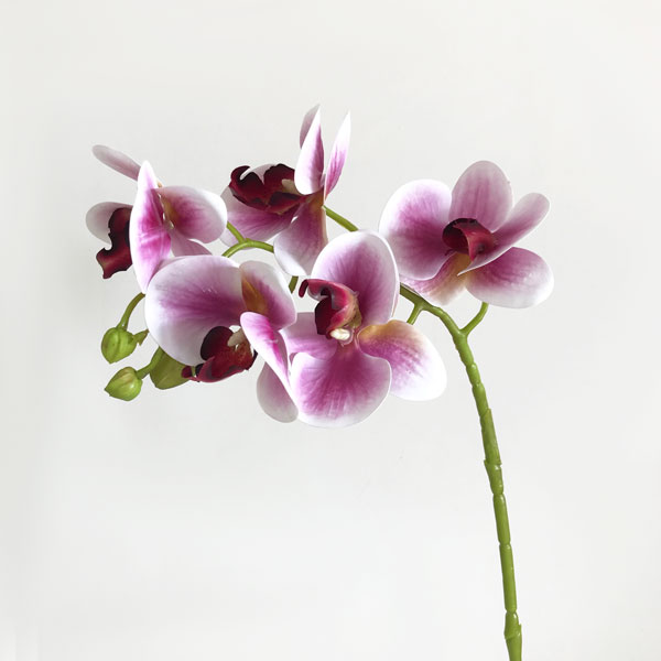 Orquídea Borboleta Galho Flor Artificial (70cm) - Imagem 24
