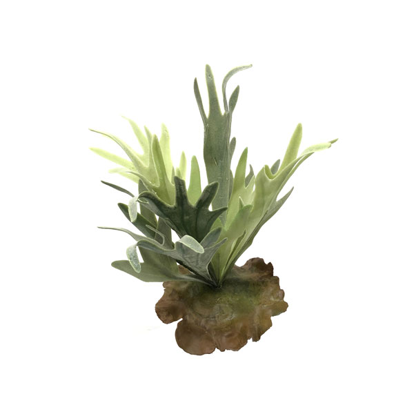 Chifre de Veado Artificial (34cm) - Imagem 2