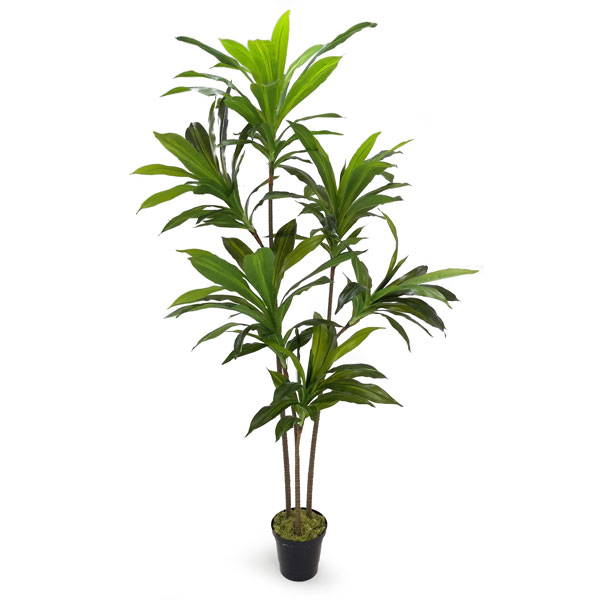 Yuca Arborea Arbusto Artificial Verde 3 Troncos (1,80m)