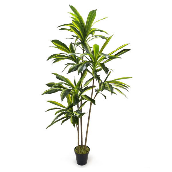 Yuca Arborea Arbusto Artificial Variegata 3 Troncos (1,80m) - Imagem 2