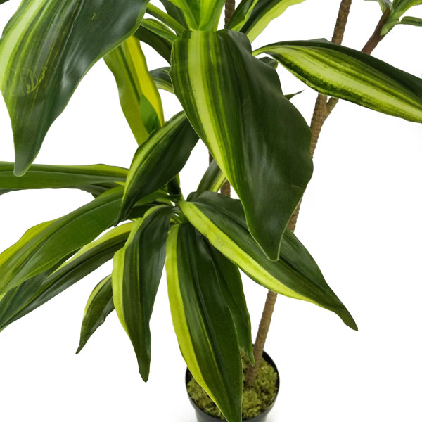 Yuca Arborea Arbusto Artificial Variegata 3 Troncos (1,80m) - Imagem 3