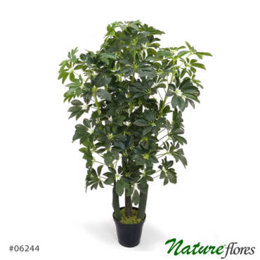 Scheflera Árvore Artificial 3T (1,20m) - toque real