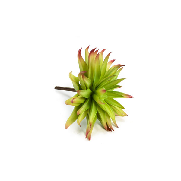 Echeveria Suculenta Artificial (15cm) - Imagem 12