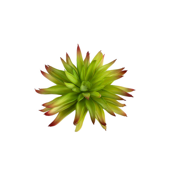 Echeveria Suculenta Artificial (15cm) - Imagem 13