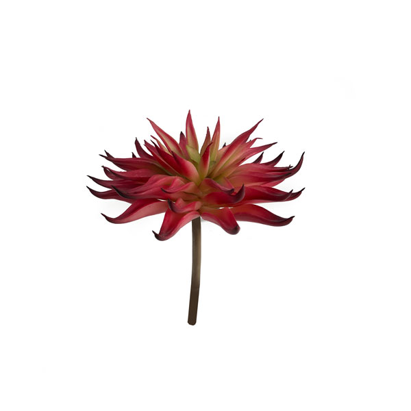 Echeveria Suculenta Artificial (15cm) - Imagem 15