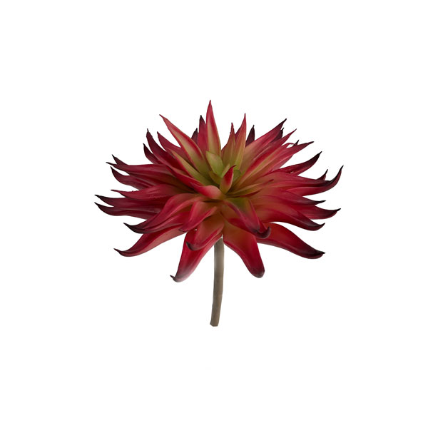 Echeveria Suculenta Artificial (15cm) - Imagem 16