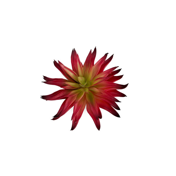 Echeveria Suculenta Artificial (15cm) - Imagem 17