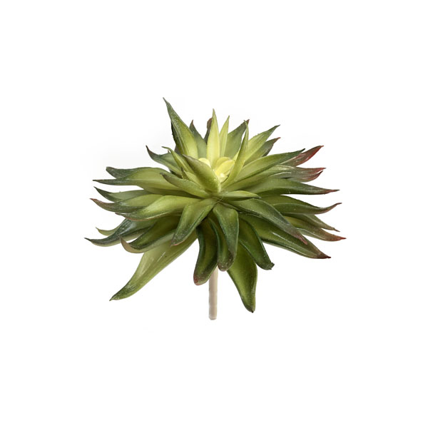 Echeveria Suculenta Artificial (15cm) - Imagem 6