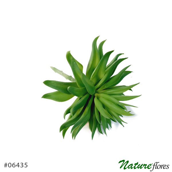 Echeveria Suculenta Artificial (15cm) - Imagem 9