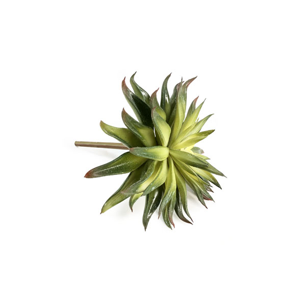 Echeveria Suculenta Artificial (15cm) - Imagem 7