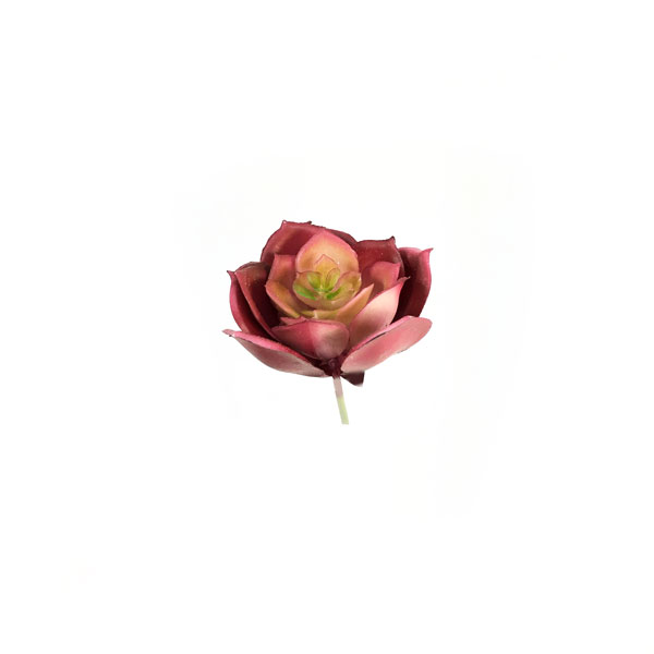 Rosa de Pedra Suculenta Artificial Mini (7cm)