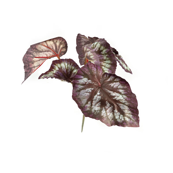 Begônia Rex Arbusto Artificial (28cm) - Imagem 5
