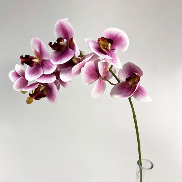 Orquídea Borboleta Galho Flor Artificial 9FL (78cm) - Imagem 12