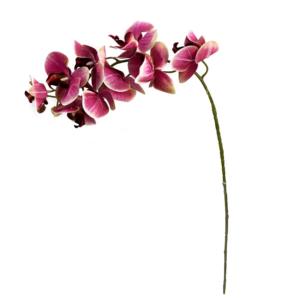 Orquídea Borboleta Galho Flor Artificial 9FL (78cm) - Imagem 15