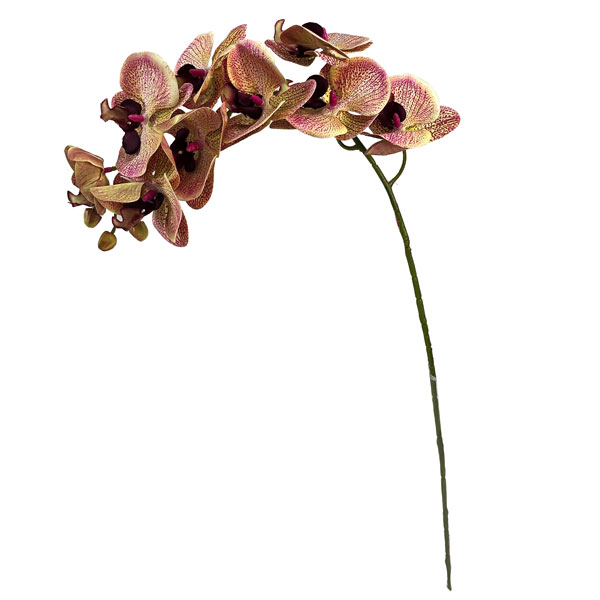 Orquídea Borboleta Galho Flor Artificial 9FL (78cm) - Imagem 19