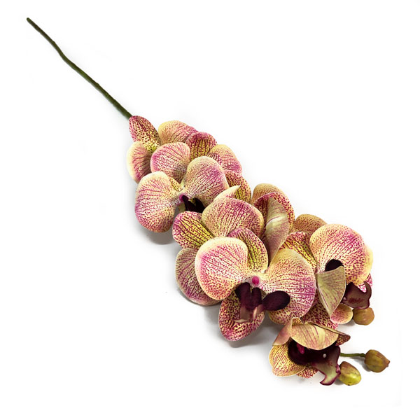 Orquídea Borboleta Galho Flor Artificial 9FL (78cm) - Imagem 20