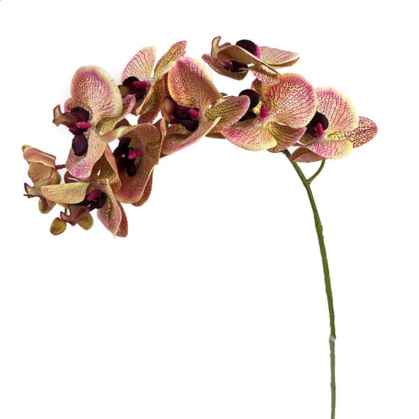 Orquídea Borboleta Galho Flor Artificial 9FL (78cm) - Imagem 21