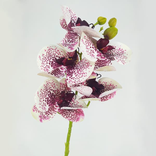 Orquídea Borboleta Galho Flor Artificial (70cm) - Imagem 34