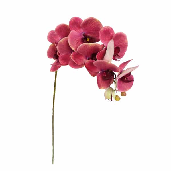 Orquídea Borboleta Galho Flor Artificial 9FL (78cm) - Imagem 37