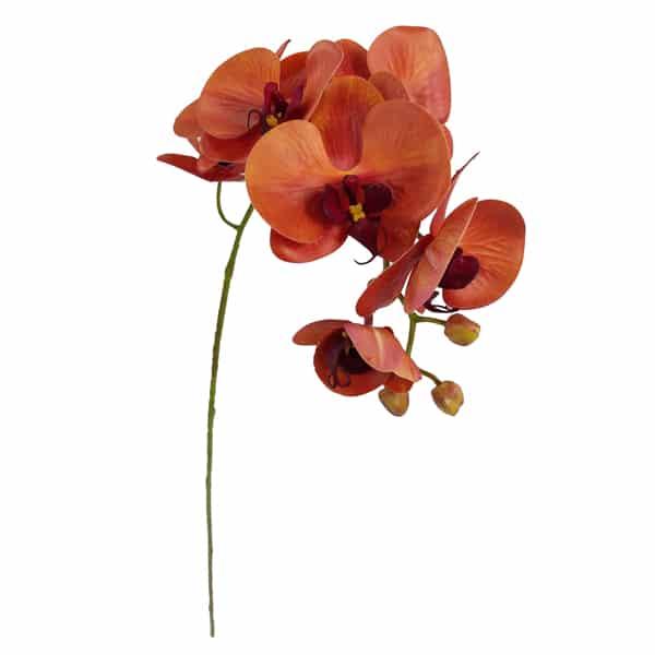 Orquídea Borboleta Galho Flor Artificial 9FL (78cm) - Imagem 32