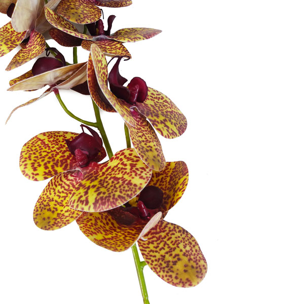 Orquídea Borboleta Galho Flor Artificial 9FL (78cm) - Imagem 43
