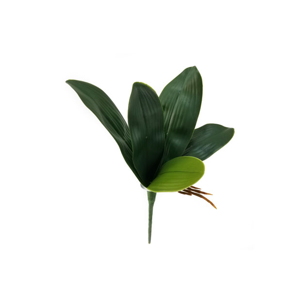 Folha de Orquídea Artificial com Raiz 5F (30cm) - Imagem 6