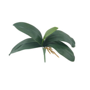 Folhas de Orquídea Artificial com Raiz 5F (27cm)