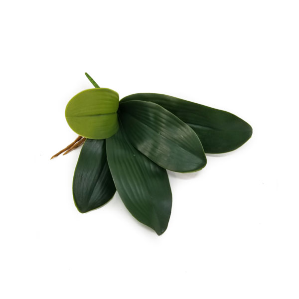 Folha de Orquídea Artificial com Raiz 5F (30cm) - Imagem 7