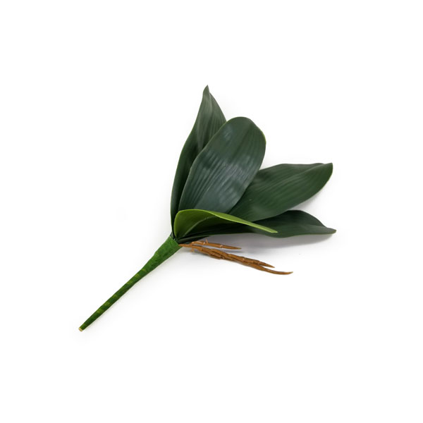 Folha de Orquídea Artificial com Raiz 5F (30cm) - Imagem 8