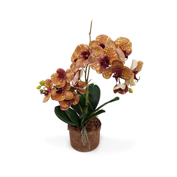 vaso com Galho de Orquídea Artificial com 5 flores (70cm) - flame