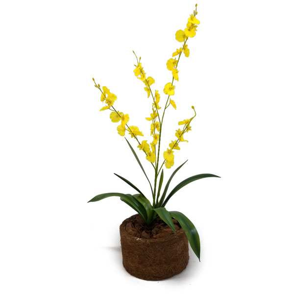 Chuva de Ouro em Vaso Arranjo Floral Artificial (75cm) - Imagem 2