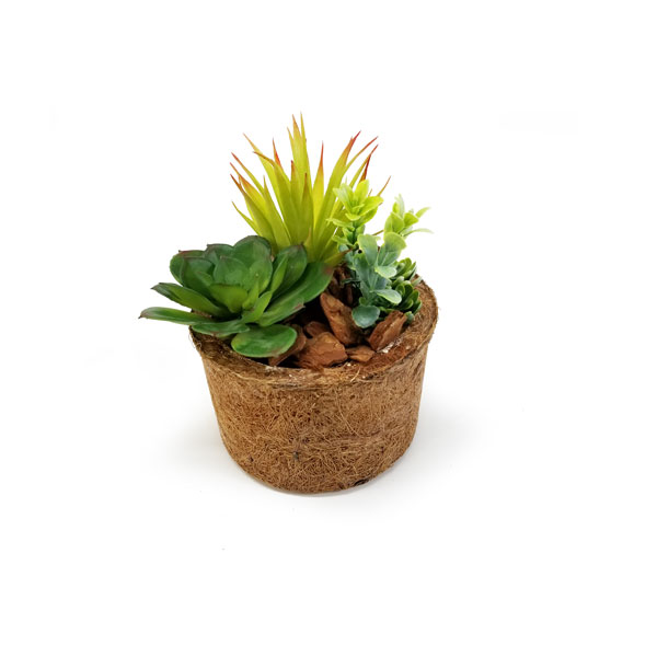 Arranjo de Suculentas Artificial (18cm) em vaso fibra coco