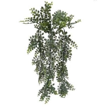 Samambaia Avenca Arbusto pendente (70cm)