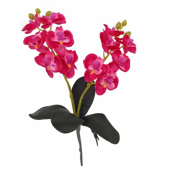 Mini Orquídea Phalaenopsis Flor Artificial 4F (30cm) - Imagem 3