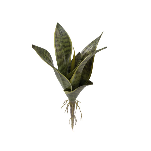 Espada de São Jorge Mini Folhagem Artificial (22cm) - Imagem 4