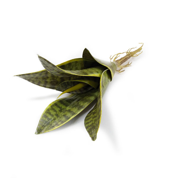 Espada de São Jorge Mini Folhagem Artificial (22cm) - Imagem 2