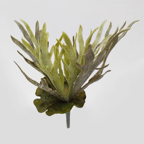 Chifre-de-Veado Planta Pendente Artificial (38cm)