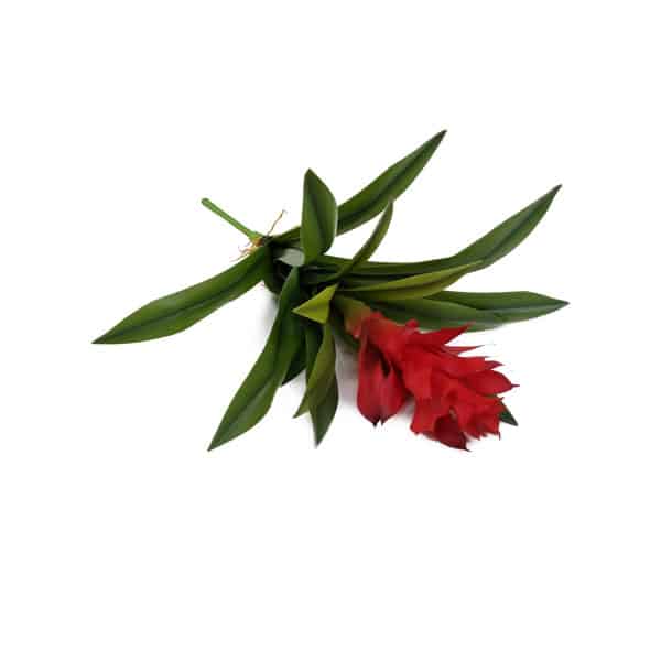 Brómelia Gusmenia Vermelho Planta em Silicone (58cm) - Imagem 3
